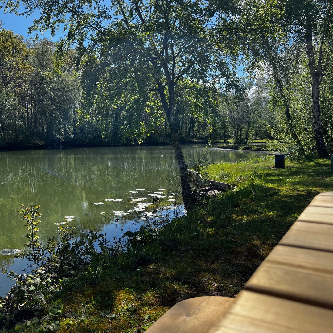 Pêche de la carpe dans le Pas-de-calais