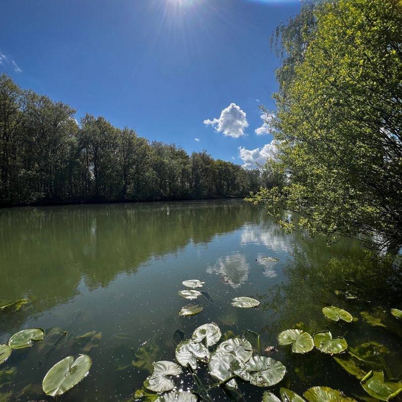 Pêche dans le Pas-de-calais