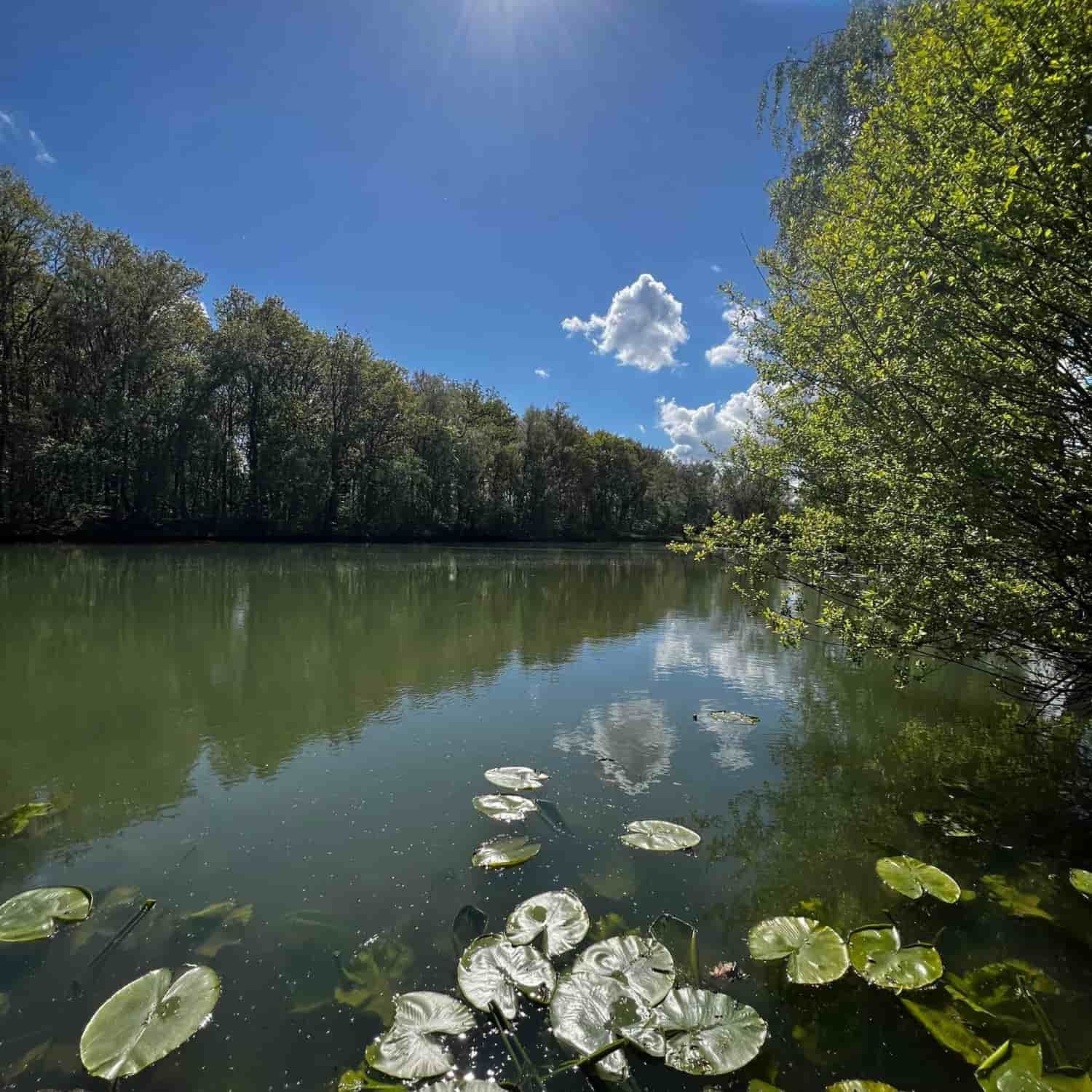 Pêche dans le Pas-de-calais